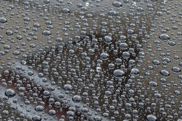 Water-beading-after-rainstorm