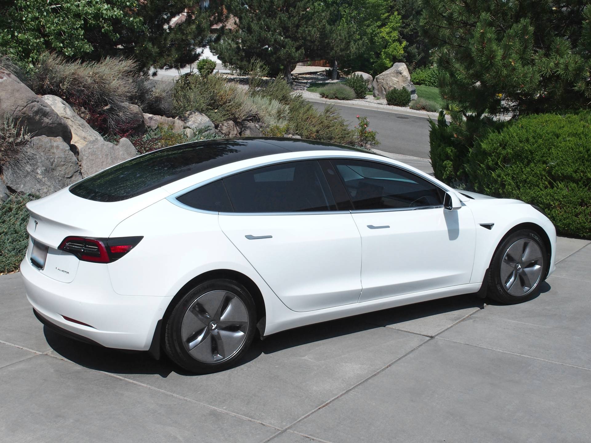 White Tesla Model 3 Top Gloss Detail